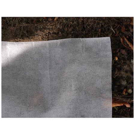 PLANT PROTECTION FLEECE 50 G   1,6X50M