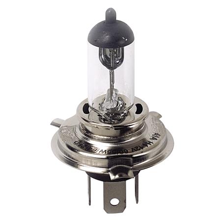 24V Pro halogen lamp   H4   75 70W   P43t   1 pcs    Box
