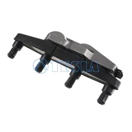Tesla Ignition Coil   CL008