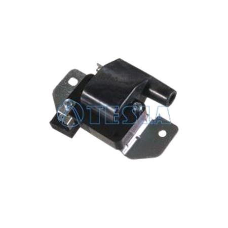 Tesla Ignition Coil   CL204