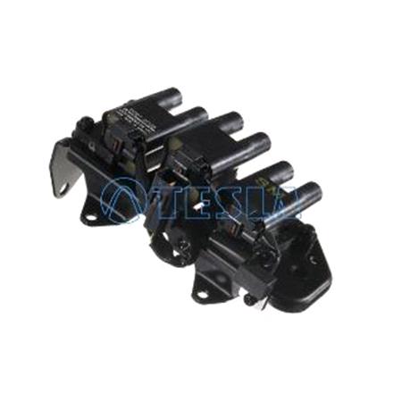 Tesla Ignition Coil   CL527