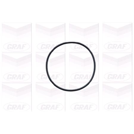 GRAF Water Pump   PA491