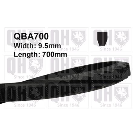 Quinton Hazell V Groove Drive Belt   QBA700