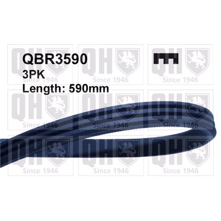 Quinton Hazell V Ribbed Drive Belt   QBR3590