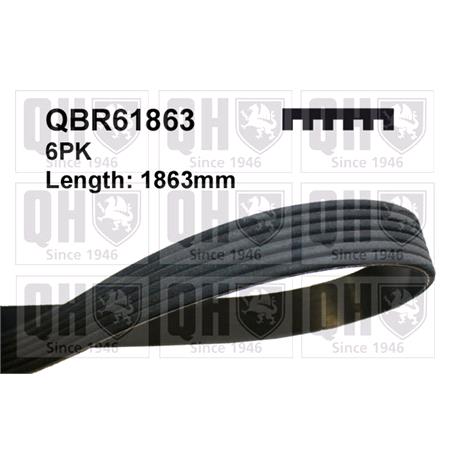 Quinton Hazell V Ribbed Drive Belt   QBR61863