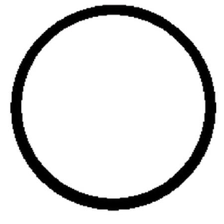 BGA Intake Manifold Gasket   RW4319