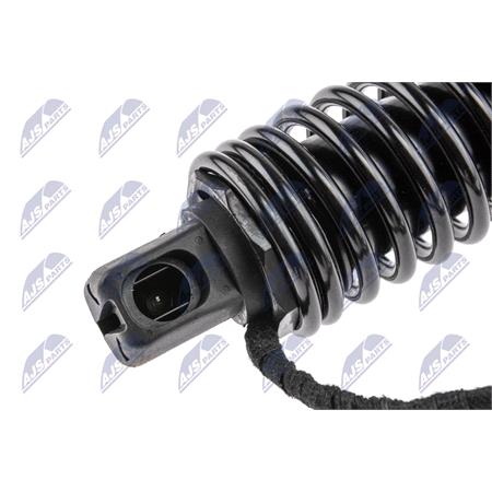 NTY Gas Spring (single) AE BM 083