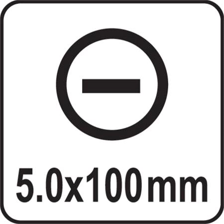 SLOTTED SCREWDRIVER 5x100MM