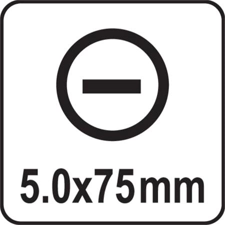 GO THROUGH SCREWDRIVER HEX 5x75MM