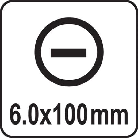 GO THROUGH SCREWDRIVER HEX 6x100MM