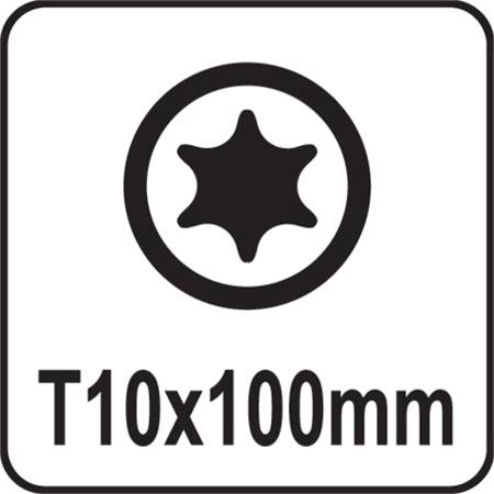 TORX SCREWDRIVER T10x100MM