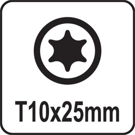 SCREWDRIVER BITS 1/4 25MM TORX T10 10PCS