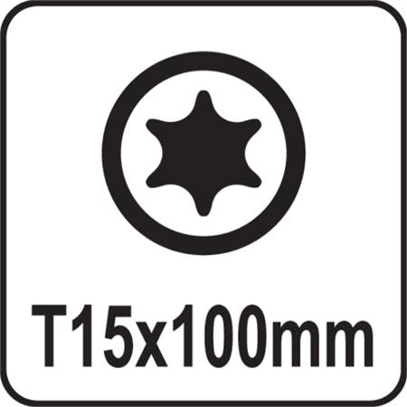 TORX SCREWDRIVER T15x100MM