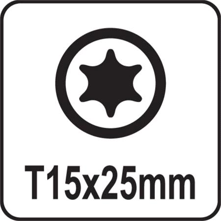 SCREWDRIVER BITS 1/4 25MM TORX T15 10PCS