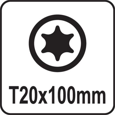 TORX SCREWDRIVER T20x100MM