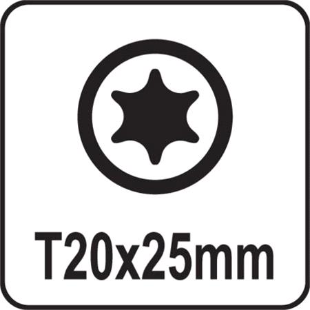 SCREWDRIVER BITS 1/4 25MM TORX T20 10PCS