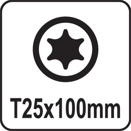 TORX SCREWDRIVER T25x100MM