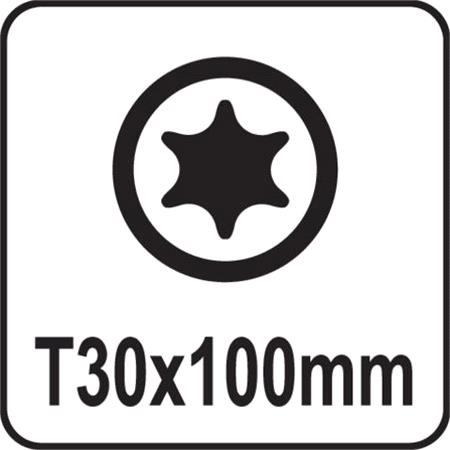 TORX SCREWDRIVER T30x100MM