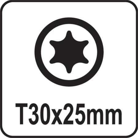 SCREWDRIVER BITS 1/4 25MM TORX T30 10PCS