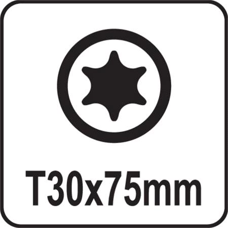 SCREWDRIVER BIT TORX T30x75MM S2