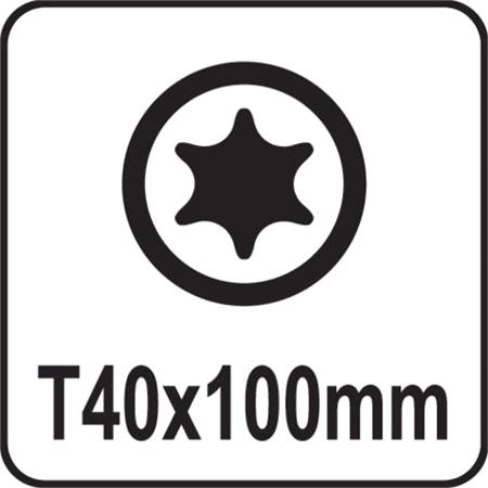 TORX SCREWDRIVER T40x100MM