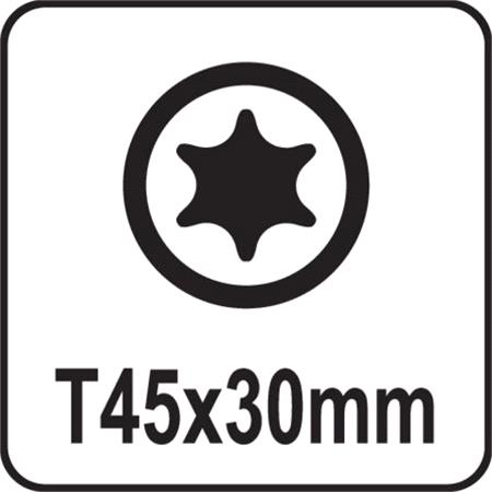 SCREWDRIVER BIT TORX T45x30MM S2