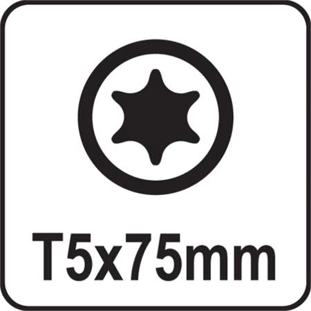 TORX SCREWDRIVER T5x75MM