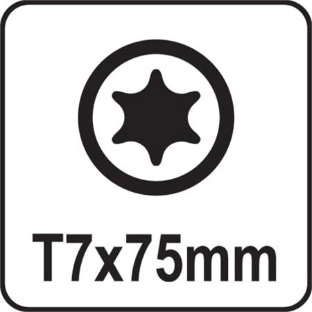 TORX SCREWDRIVER T7x75MM