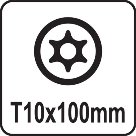 TORX SECURITY SCREWDRIVER T10x100MM