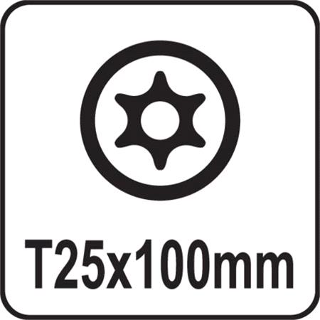 TORX SECURITY SCREWDRIVER T25x100MM