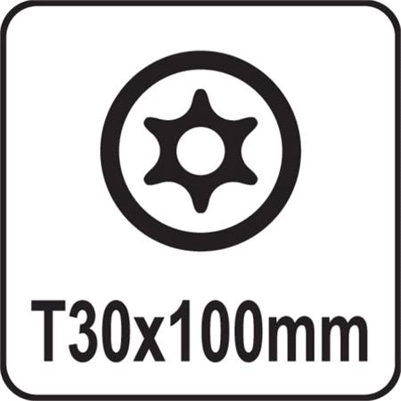 TORX SECURITY SCREWDRIVER T30x100MM