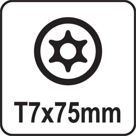 TORX SECURITY SCREWDRIVER T7x75MM