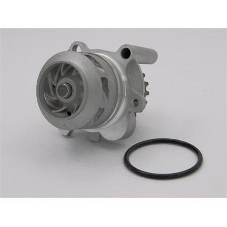 NTY Water Pumps (CPW AU 024)