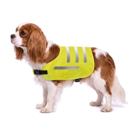 Dog Safety Vest   High Visibility Life Vest for Your Pet   Size S