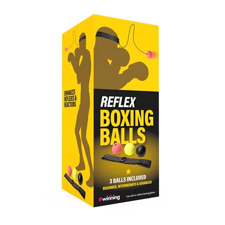 Reflex Boxing Balls Training Set