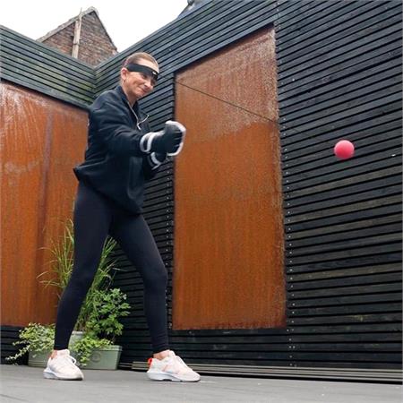 Reflex Boxing Balls Training Set