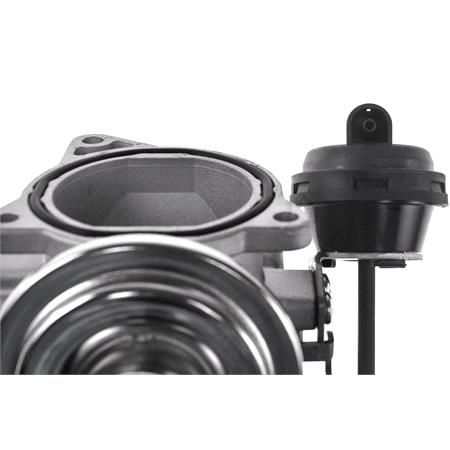 NTY EGR Valve   EGR AU 001