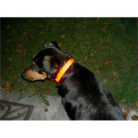 Trixie Flash Collar, Amber   Medium Dogs (50 70cm)