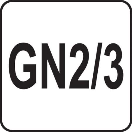 GASTRONORM CONTAINER GN SS 2/3 100