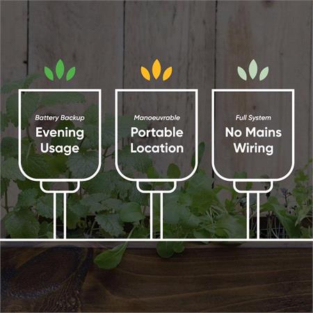 Crown Solar Stake Lights   Pack of 6