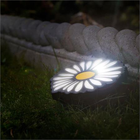 Solar Daisy Light   Set of 4