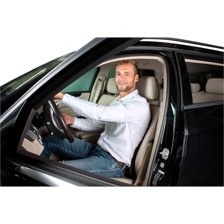 Lumbar Support Cushion