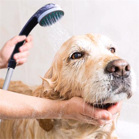 Streetwize Portable Shower   USB Rechargeable