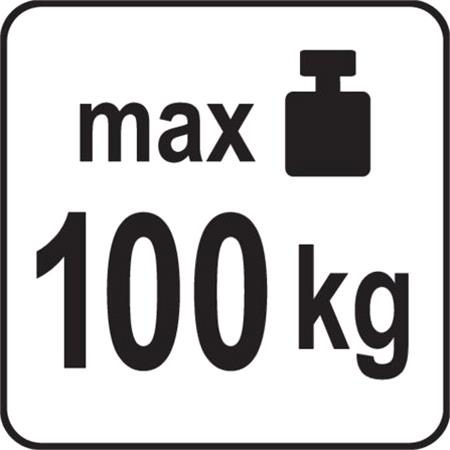 VACUUM CUP 204 MM WITH FLAT PAD /100 KG