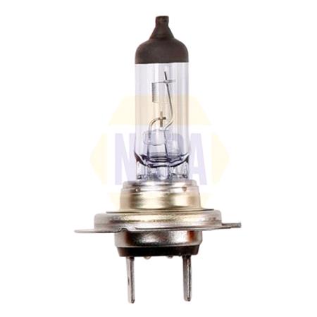 Napa 12V 55W H7 PX26d Bulb   Single