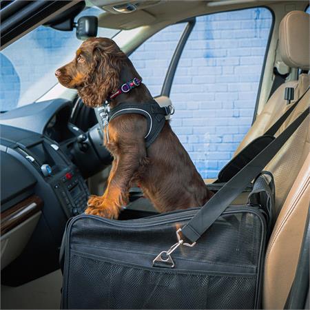 Deluxe Foldable Small Dog Car Carrier
