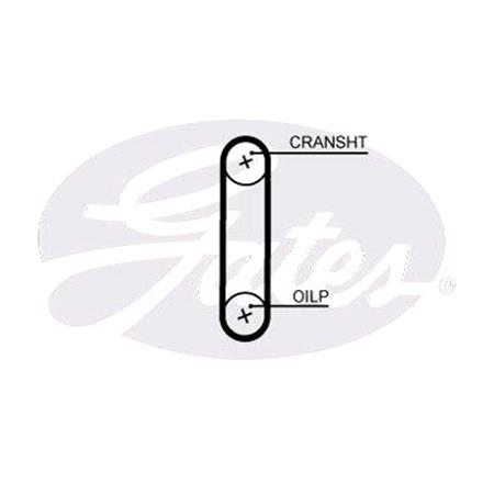 Gates Timing Belt   T358HOB