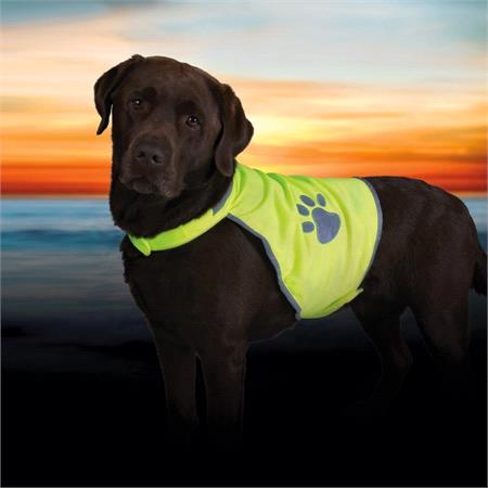 Dog Hi Vis Safety Waistcoat   Medium Dogs (50 70cm)
