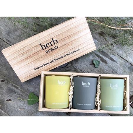 Herb Dublin Buttercup Candle Trio Set