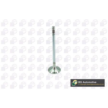 BGA Inlet Valve   V200074
